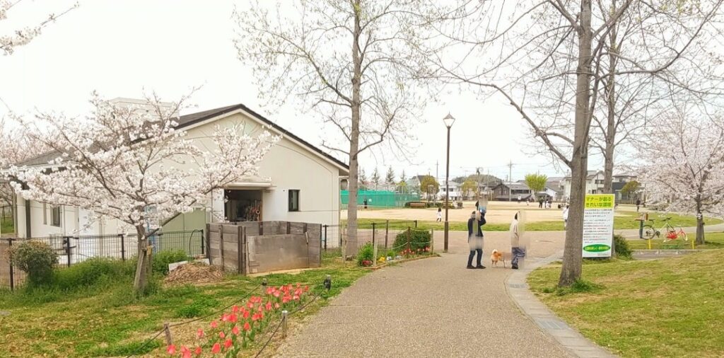 Kusunoki-park_01