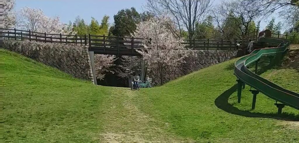 Matsuodera-park_spring_
01