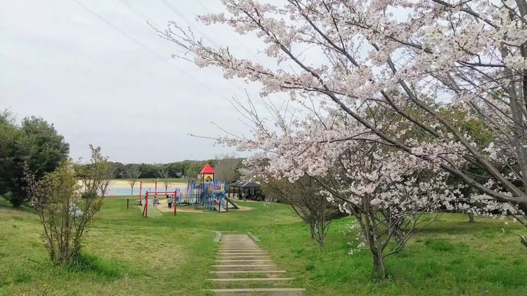 cosmochuo-park_01