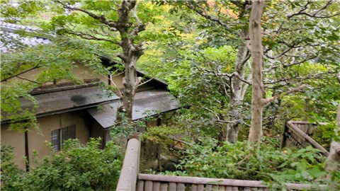 Kuboso_Building in the garden