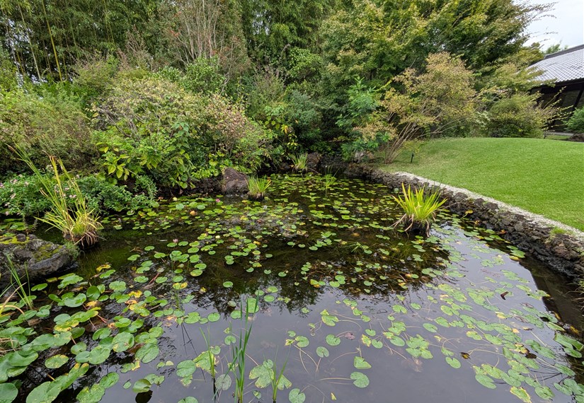 Kuboso_Garden pond_02