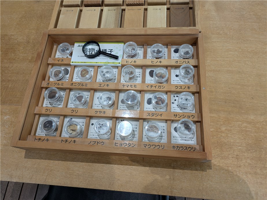 yayoigaku_magnifying-gass_seed