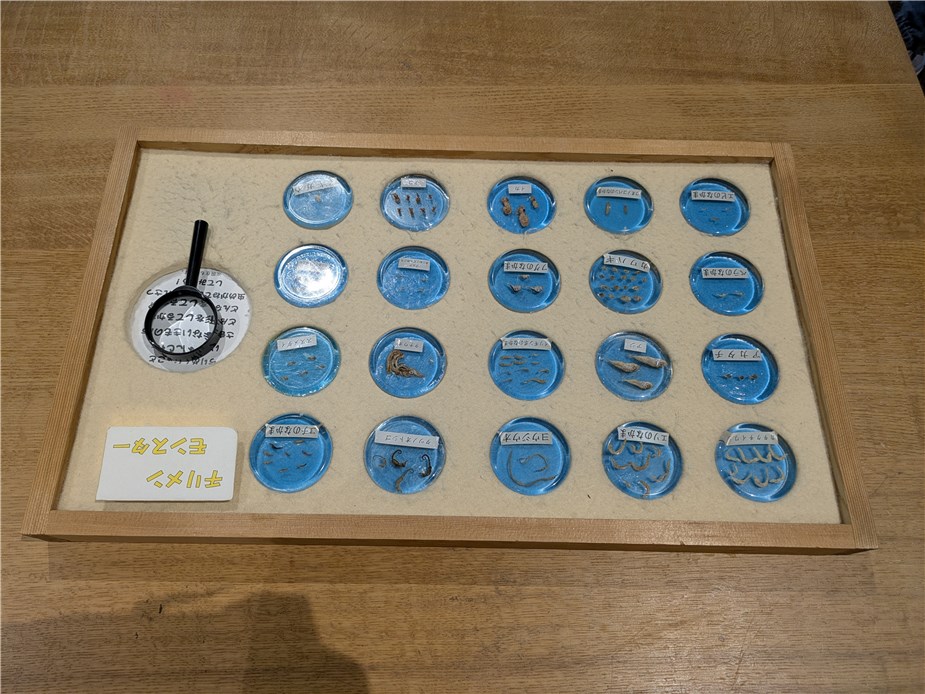 yayoigaku_magnifying-gasssmall-fish