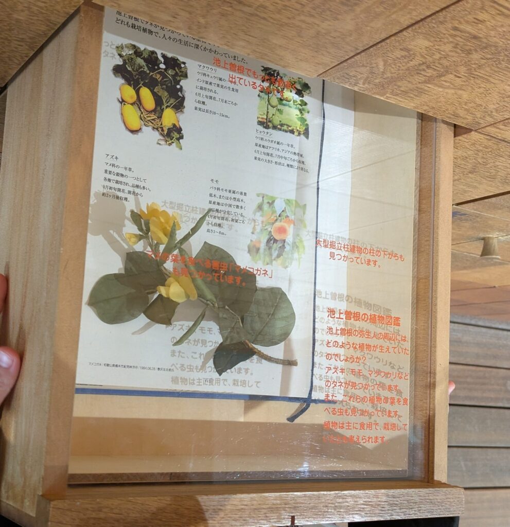 yayoigaku_wall-drawer_drawer03